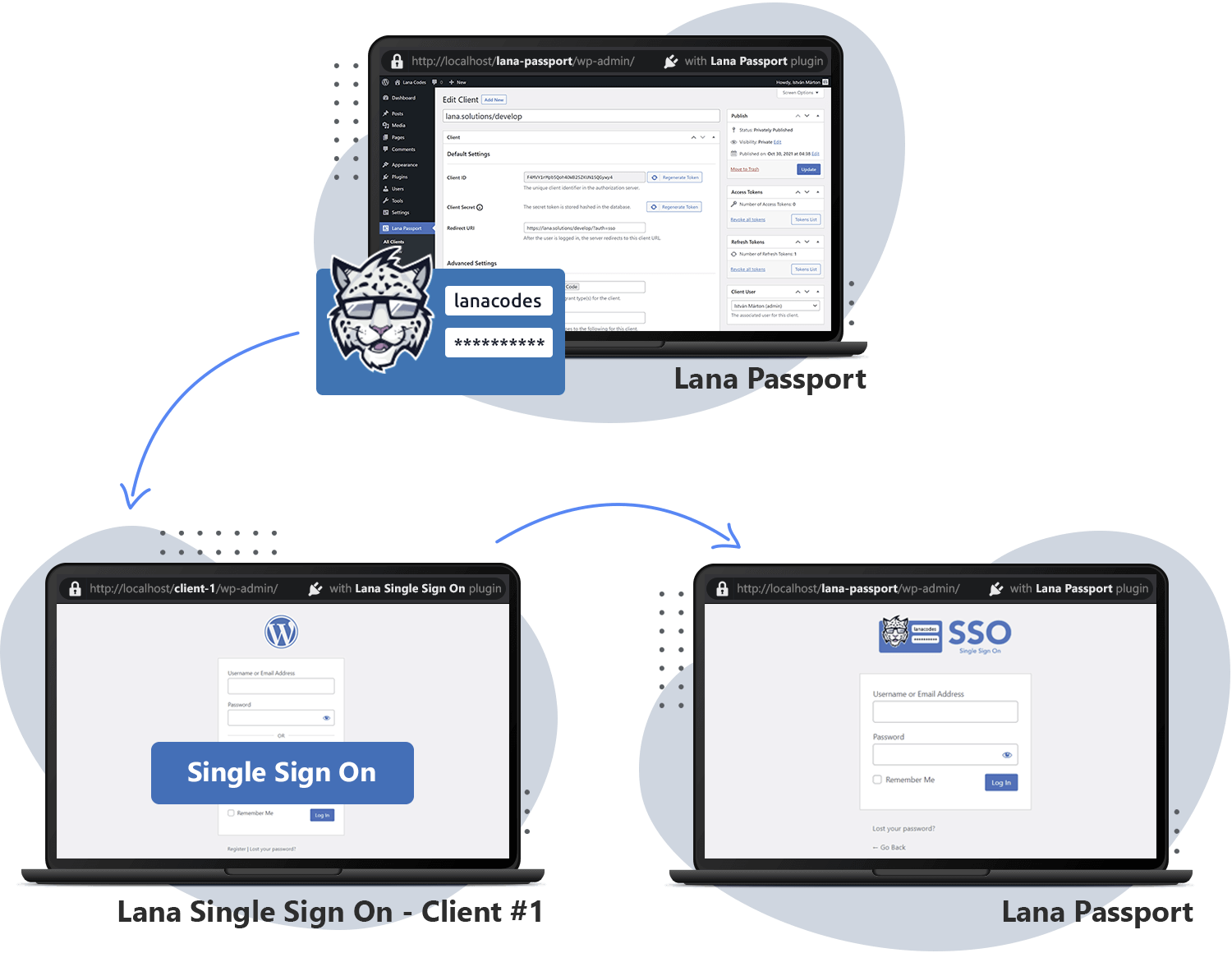 Lana Passport - Infograph